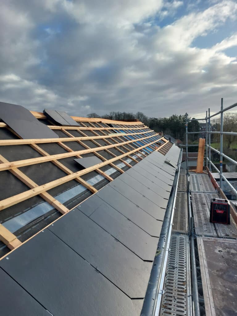 20220225-090611_161-768x1024