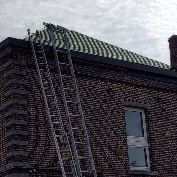 img-20210812-104628_113